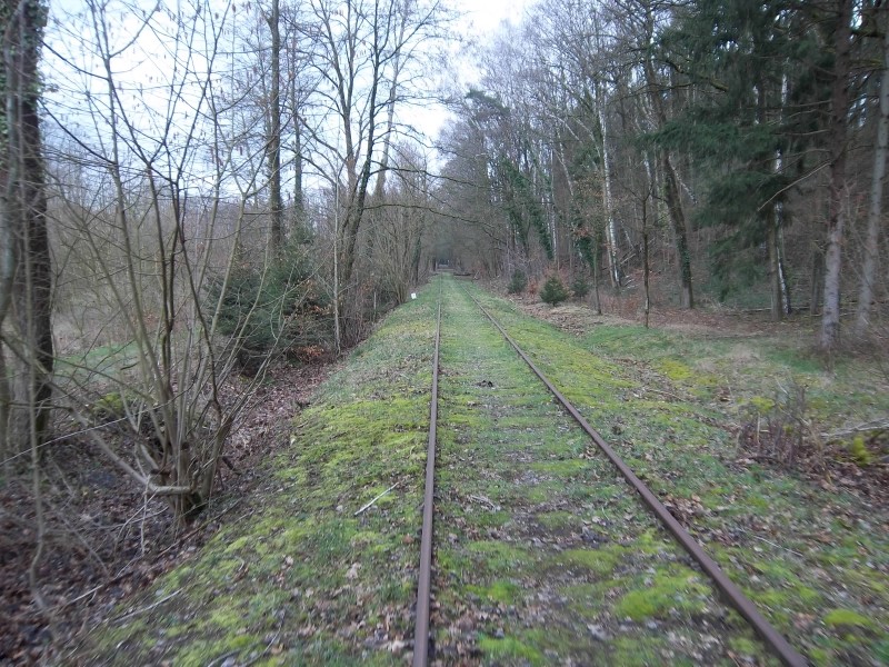 ZWNEGI26